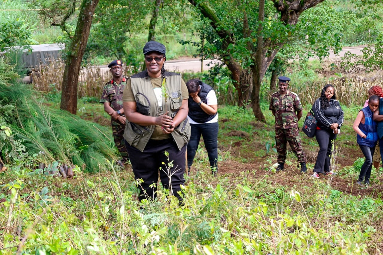Tree Planting Initiatives