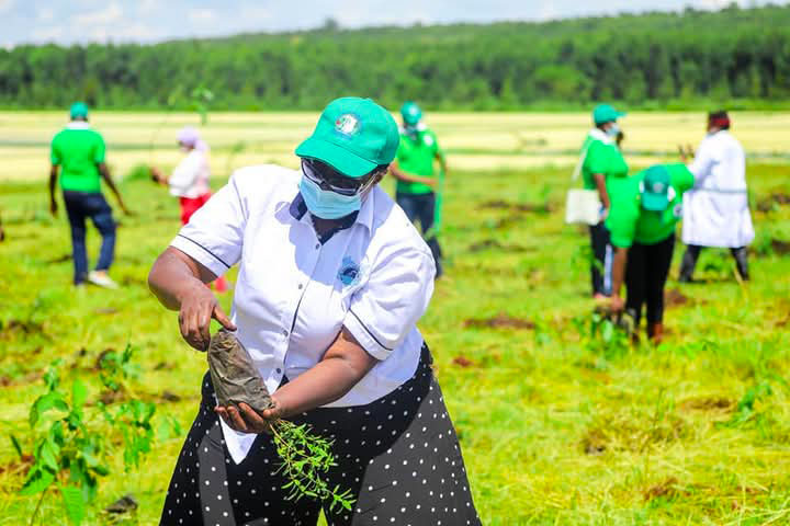 Green Solutions