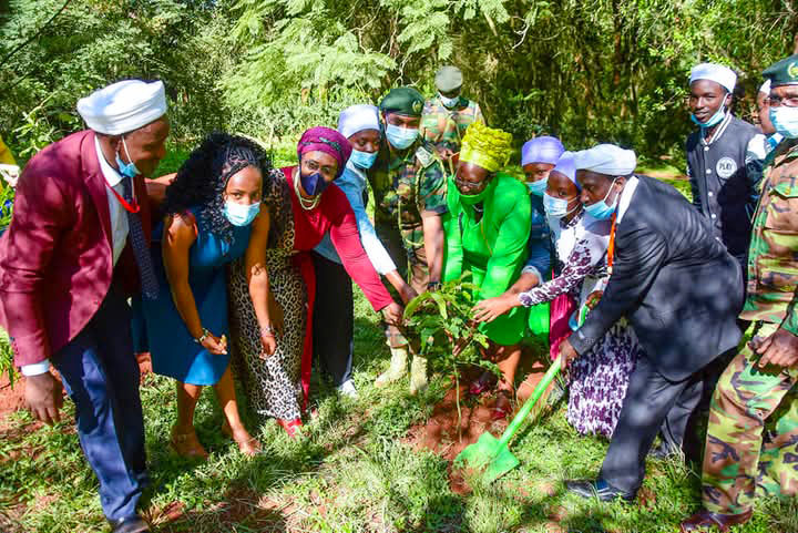 Agroforestry for Livelihoods