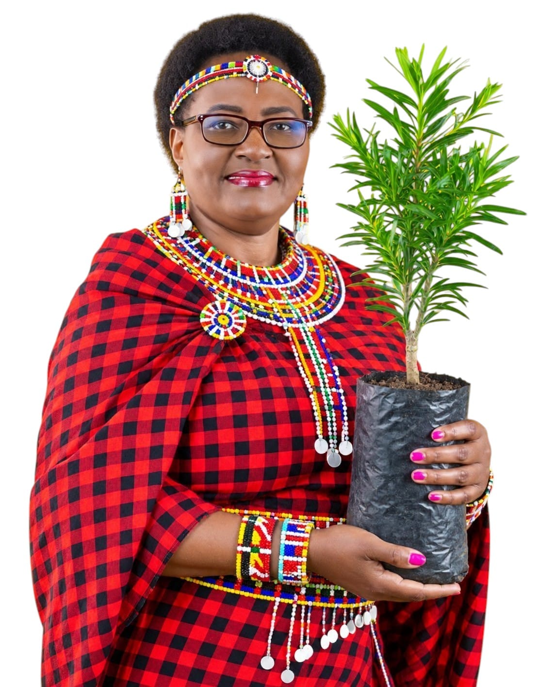 Jedidah Wanyeki-CEO