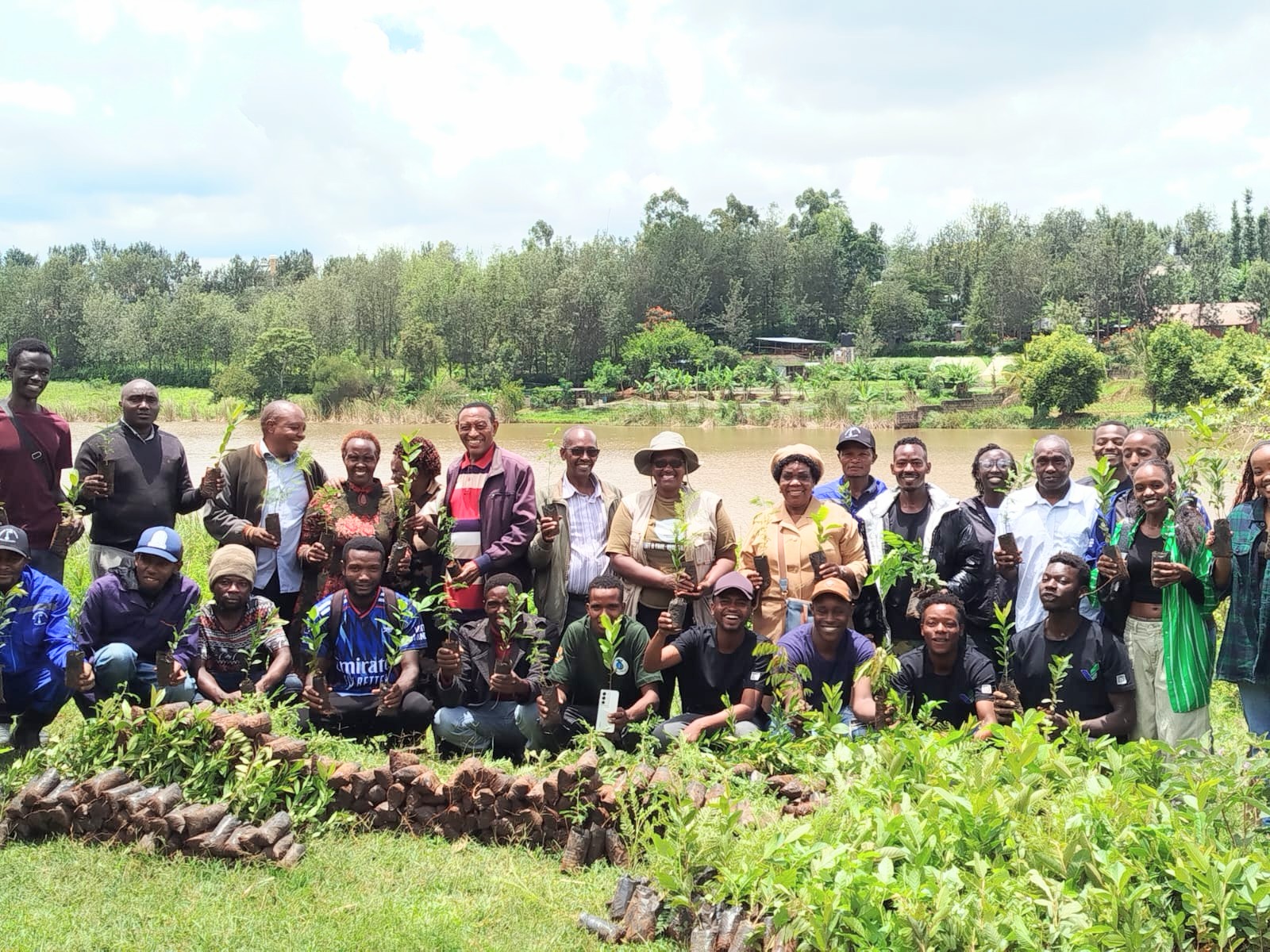 Mangrove Restoration
