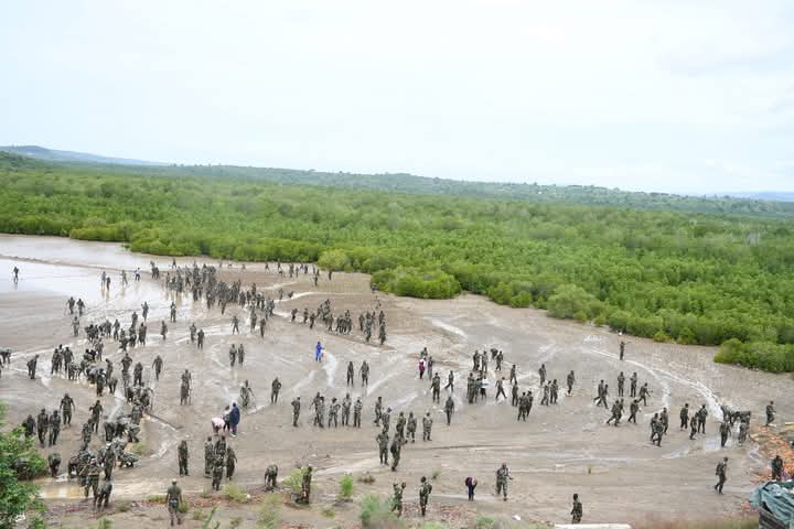 Mangrove Planting