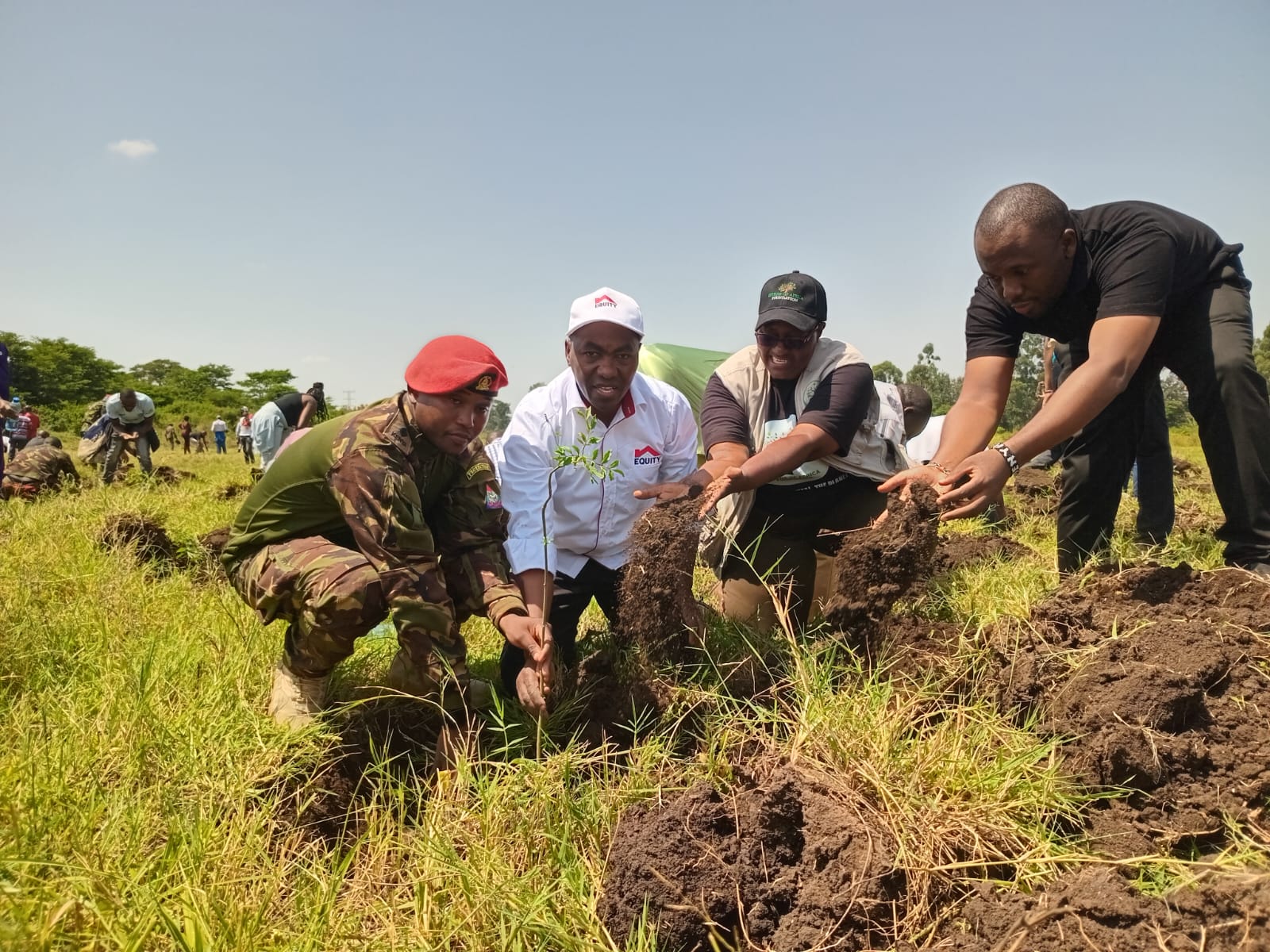 Ecosystem Restoration