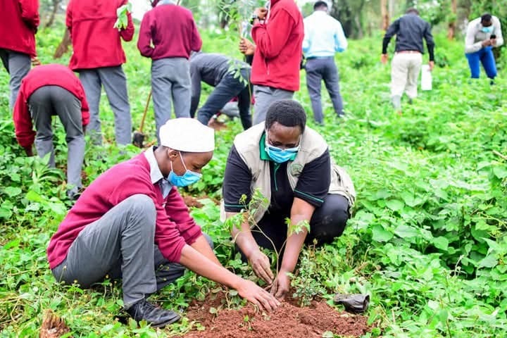 A Greener Africa